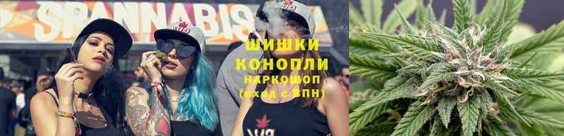 Бошки Шишки THC 21%  наркота  Бугульма 